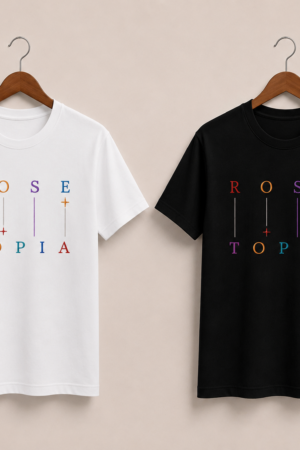 CAMISETA THE ROSE - OPÇÃO 22 - T-SHIRT FEMININA - 3 DIAS ÚTEIS PARA ENVIO